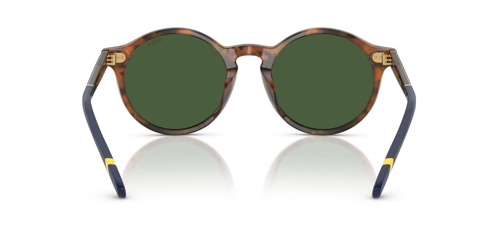 Polo 4204U Sunglasses - view 45